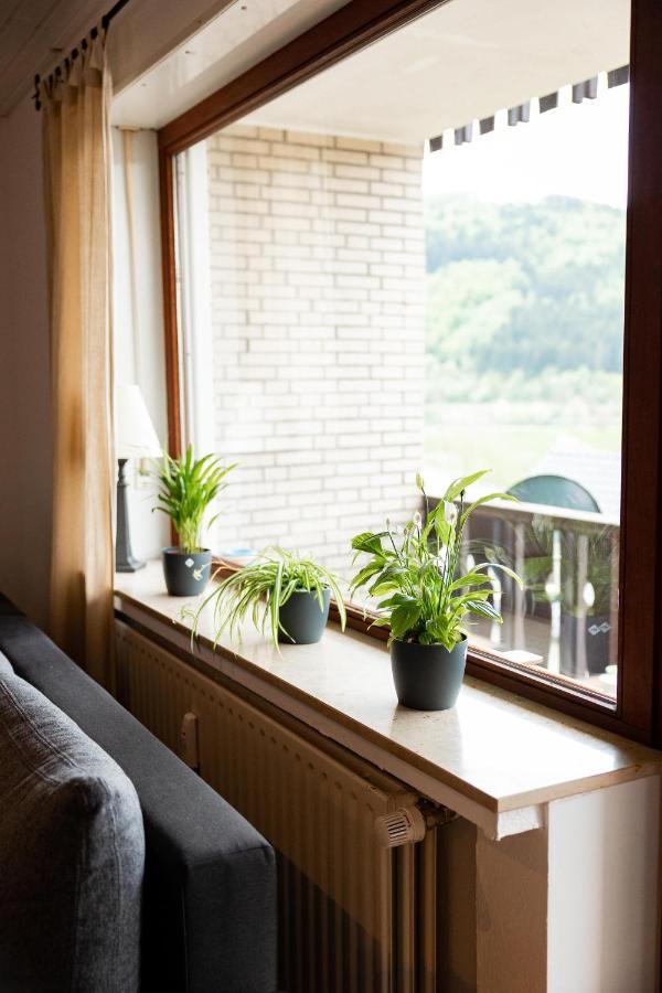 Ferienwohnung Mit Seeblick — Sport Und Erholung Winterberg Ngoại thất bức ảnh